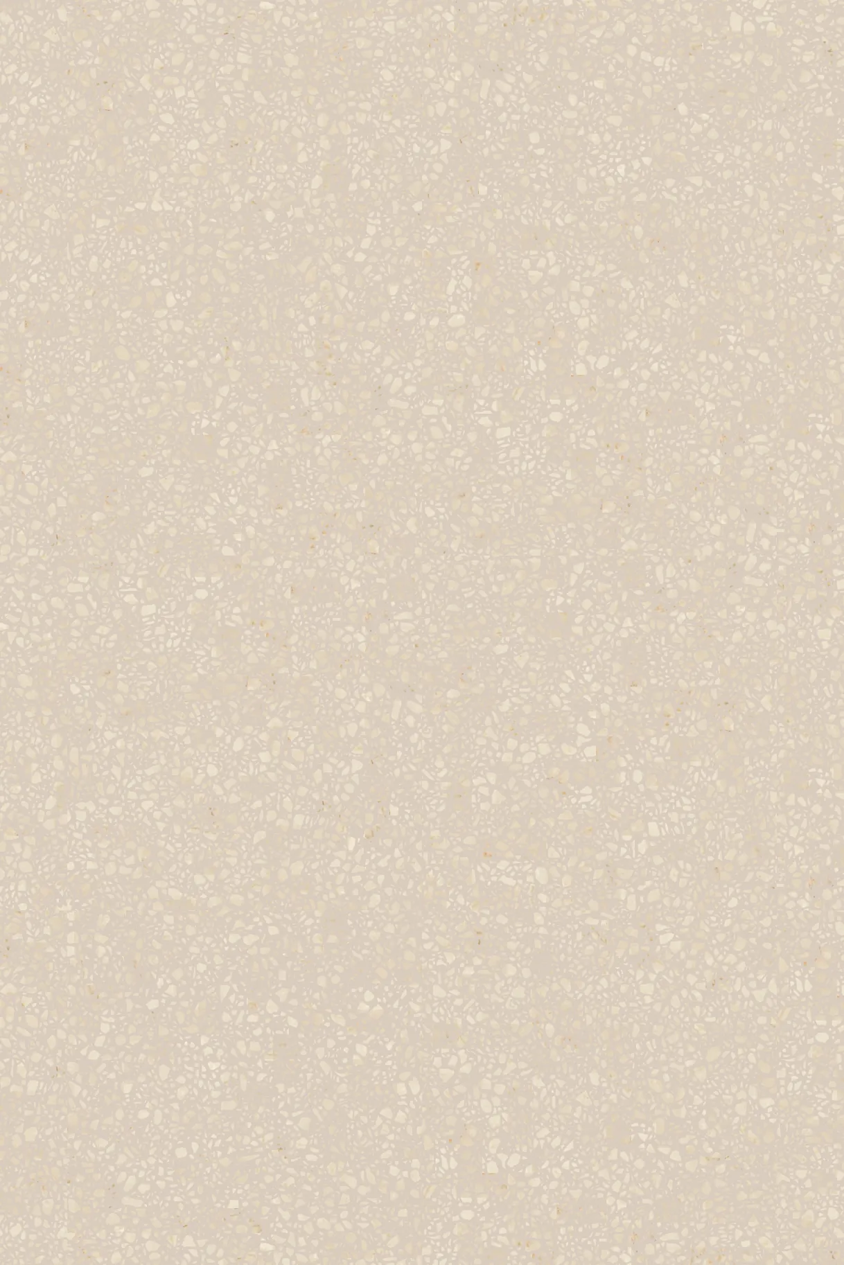 Botticino S1005-Y50R Terrazzo