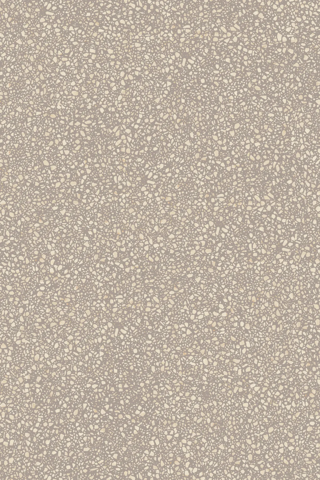 Botticino S3005-Y50R Terrazzo